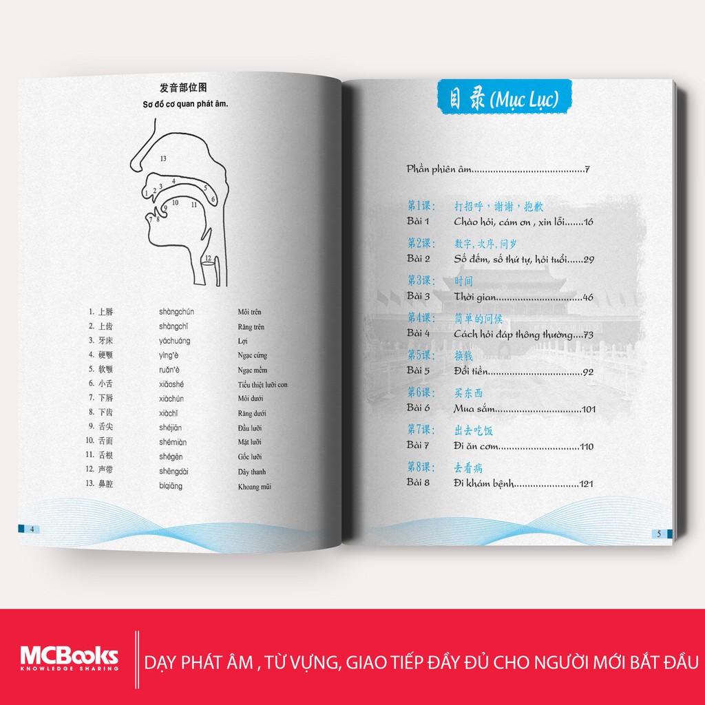 Học tiếng Trung cho người mới - Khám phá nền văn hóa và ngôn ngữ